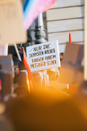 15.000 Menschen demonstrieren in Braunschweig gegen Rechtsextremismus – mit KURT-Bildergalerie