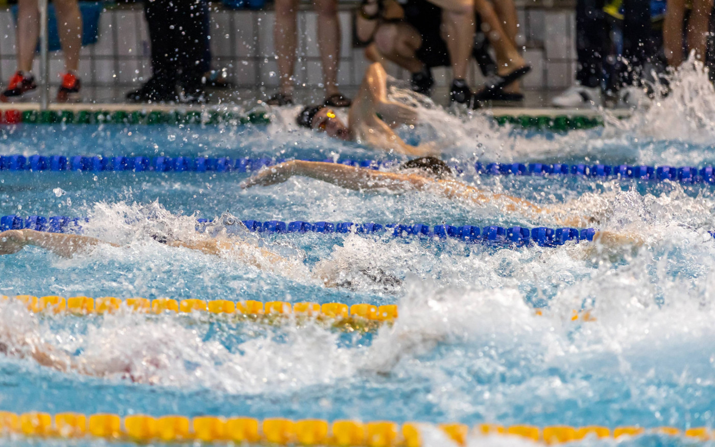 24-Stunden-Schwimmen: MTV Gifhorn und Allerwelle tun sich für Premiere am 24. August zusammen