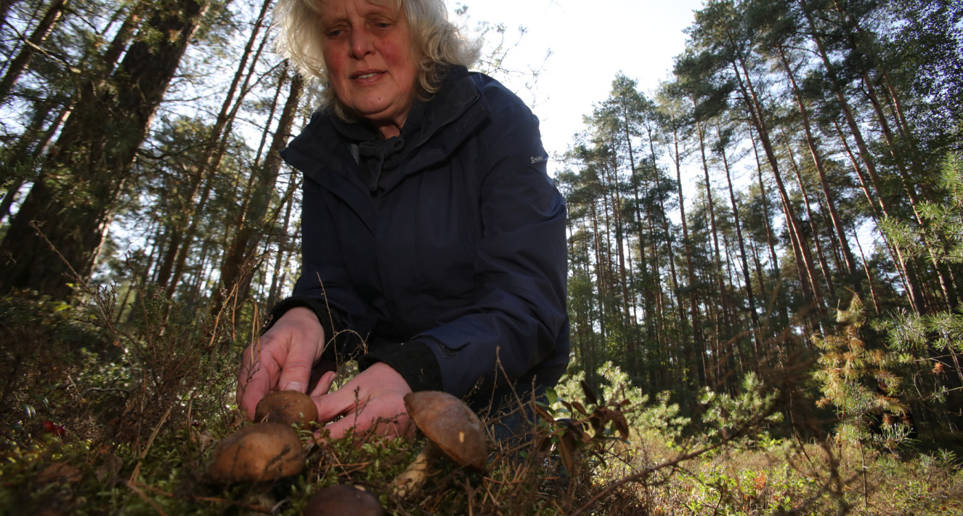 3 Fragen an Pilzcoach Katrin Grundmann aus Transvaal: Endlich Pilzzeit, also Korb raus, ab in den Wald
