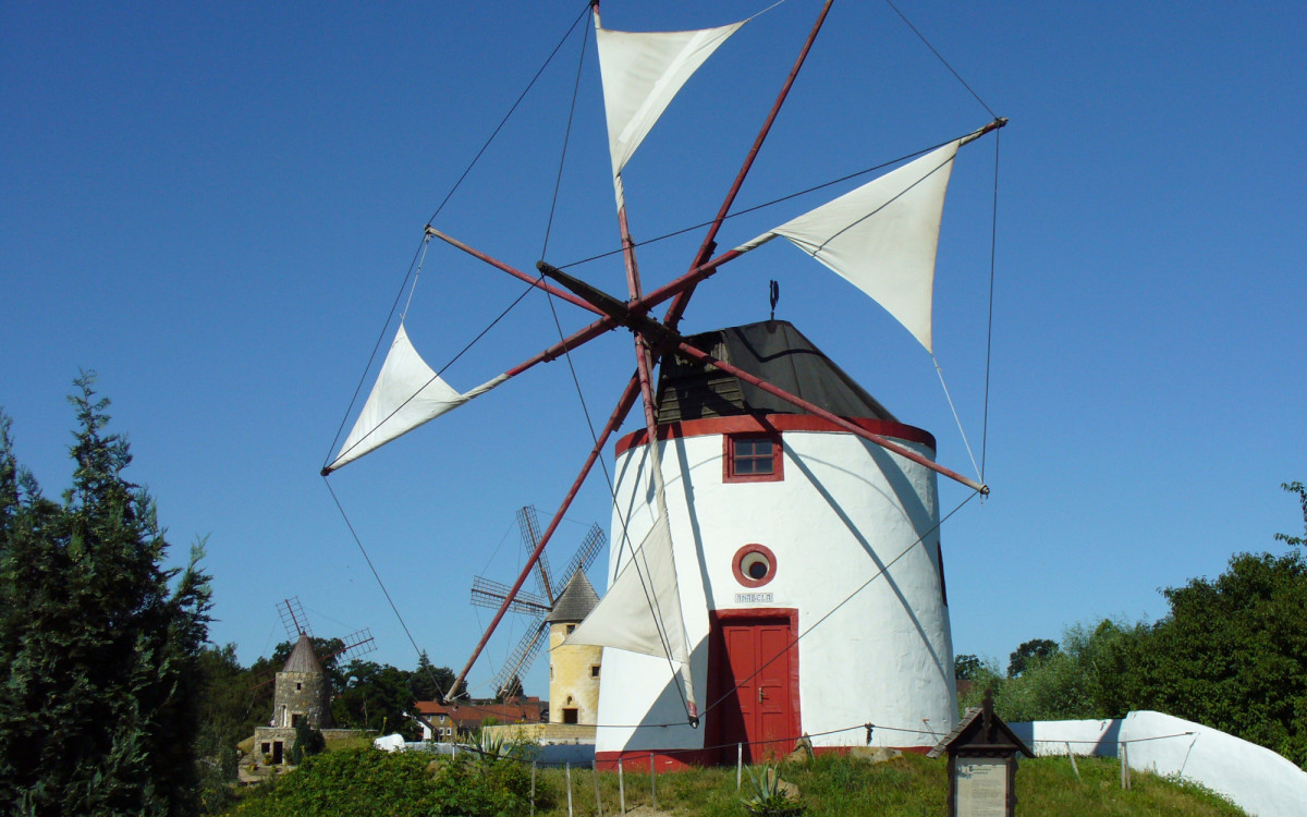 40 Jahre nach der Gründung: Stadt Gifhorn will das Mühlenmuseum kaufen