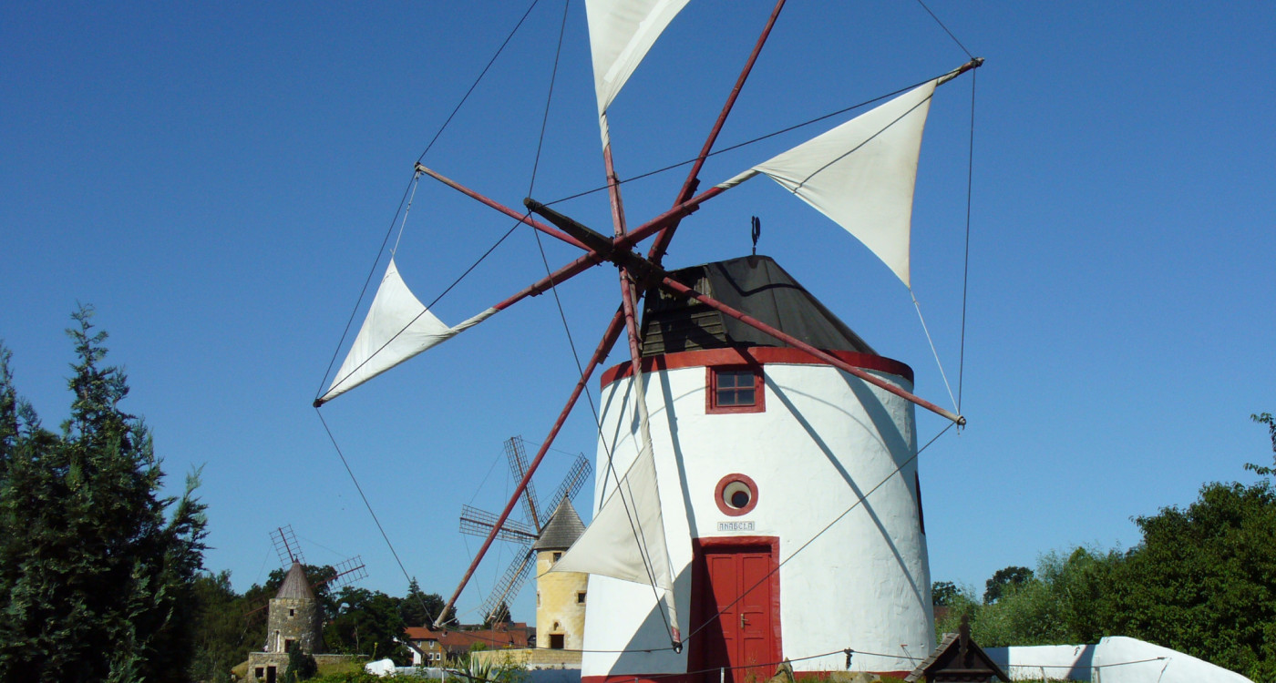 40 Jahre nach der Gründung: Stadt Gifhorn will das Mühlenmuseum kaufen