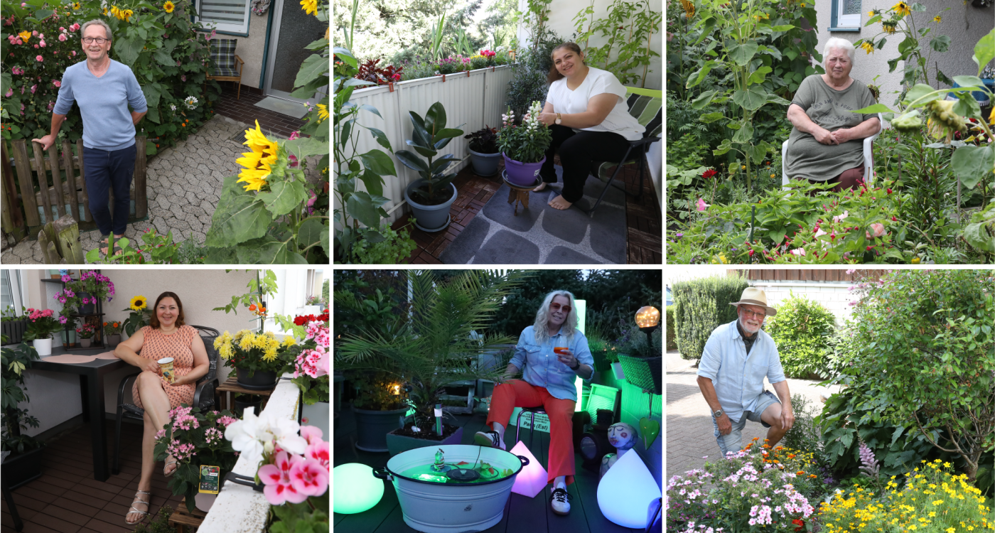 50 Euro für Euren Garten: Jetzt abstimmen für die sechs Finalisten des Gifhorner Balkon-Wettbewerbs und selbst gewinnen