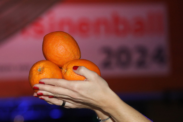 650 Gäste feiern vergnügt den Apfelsinenball 2024 - Das sind die schönsten Bilder aus Gifhorns Stadthalle