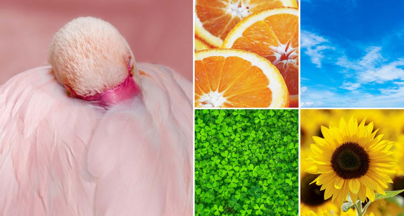 7 Farben, die man nicht unterschätzen sollte: KURT hat sich im Regenbogen eine Hängematte gespannt und beobachtet