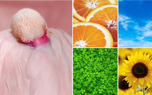 7 Farben, die man nicht unterschätzen sollte: KURT hat sich im Regenbogen eine Hängematte gespannt und beobachtet