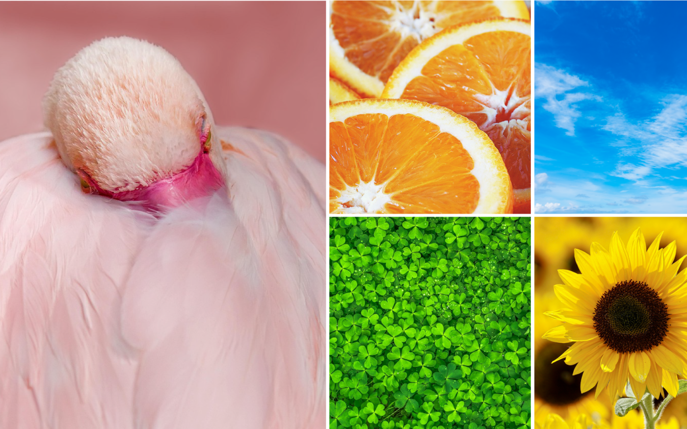 7 Farben, die man nicht unterschätzen sollte: KURT hat sich im Regenbogen eine Hängematte gespannt und beobachtet