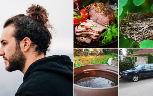 7 Ideen, wo man zu Ostern seine Eier verstecken kann: KURT hilft denjenigen aus, die inspirationslos eine Halbkrise schieben