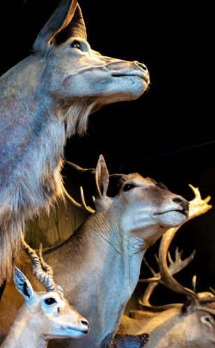 7 Tipps, wie man den Hobbykeller mit Leben füllt: KURT hilft Euch dabei, die Neujahrsvorsätze auch wirklich umzusetzen