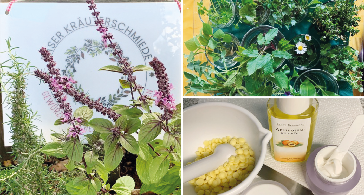 Aktiv und gut begleitet durch das Frühjahr: Der Kneipp-Verein Gifhorn stellt gleich zwei Gesundheitsangebote vor