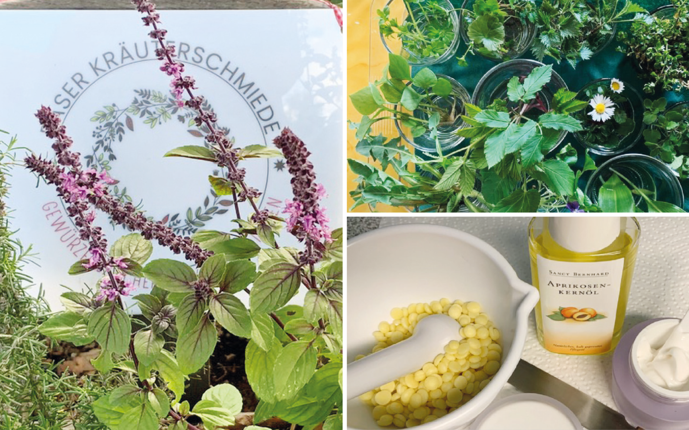 Aktiv und gut begleitet durch das Frühjahr: Der Kneipp-Verein Gifhorn stellt gleich zwei Gesundheitsangebote vor