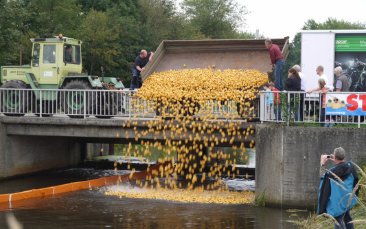 Alle meine Entchen schwimmen auf der Ise - Die Gifhorner Feuerwehr unterstützt Zeit:Stiften und KURT beim Entenrennen