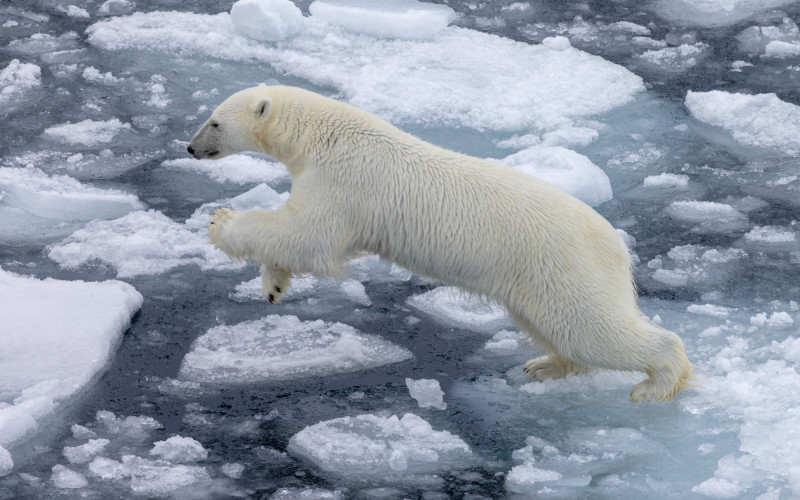 An den Feiertagen fängt die Seele an zu klingen - Moderator Peter von Sassen erzählt im KURT-Interview von seiner Liebe zur Weihnachtszeit