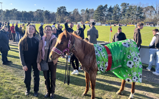 An der Bande statt auf der Koppel: Der junge Prinz MTV Gifhorn wird zum heimlichen Star des Stadtderbys
