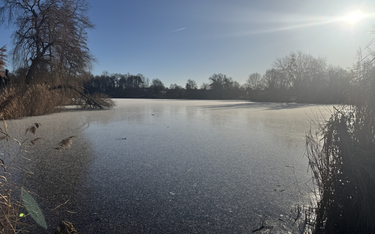Angelverein Brome: Mitmachen bei Gemeinschaft und Naturerlebnis