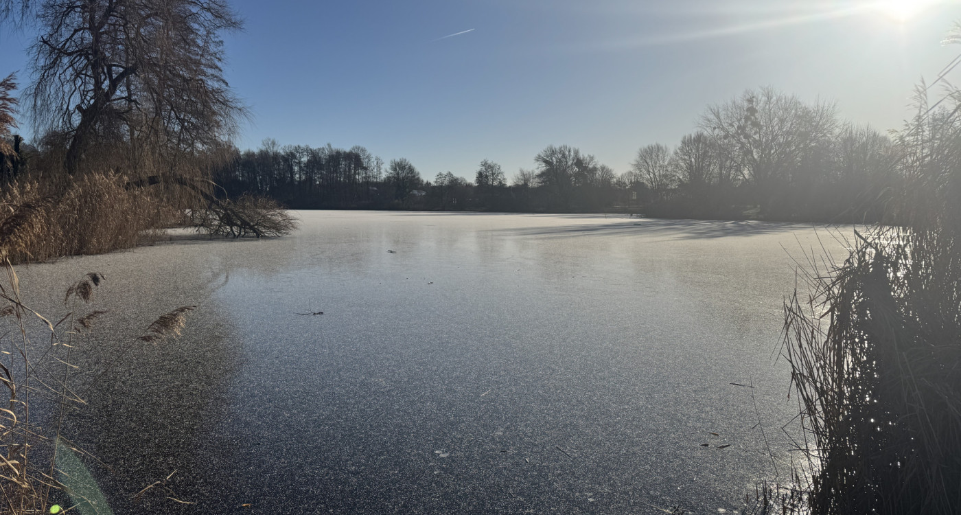Angelverein Brome: Mitmachen bei Gemeinschaft und Naturerlebnis