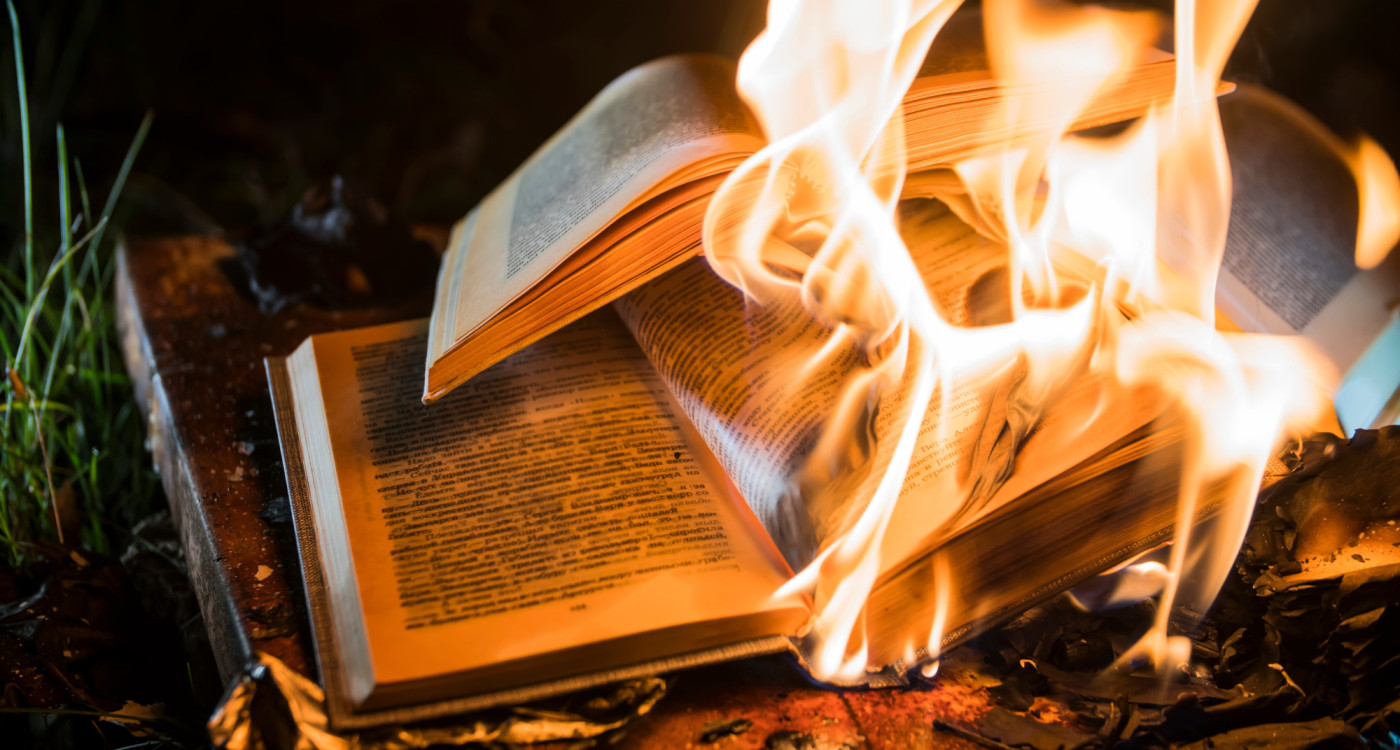 Ausstellung der Stadtbücherei: So reagierte Gifhorn im Mai 1933 auf die Bücherverbrennung