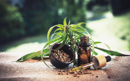 Bald hat Gifhorn das CBD-Geschäft Hanfside - Inhaber Kai Ziesmann (45) bietet Blüten, Öle, Kosmetik und vieles mehr an