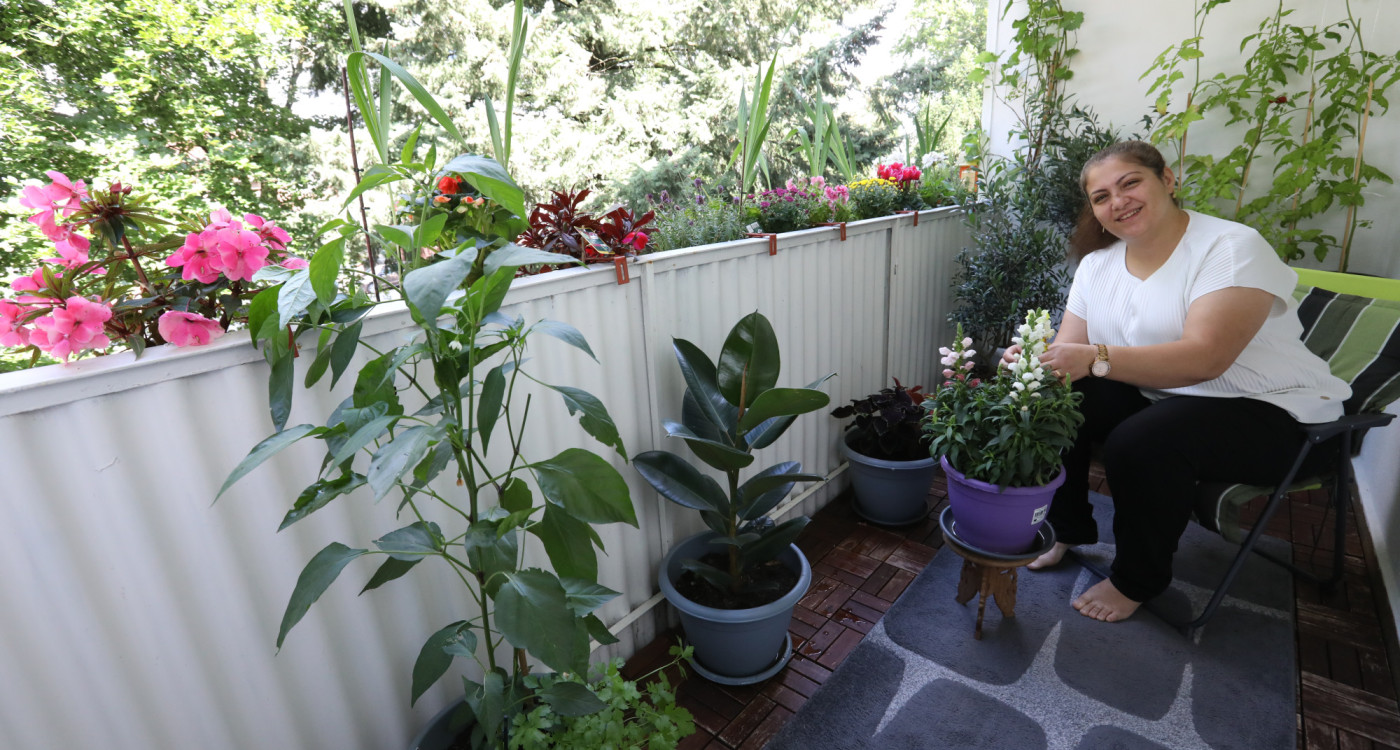 Balkon-Wettbewerb-Finalistin Laila Ibo aus Gifhorn lebt ihre Kultur auf dem Balkon: Neben dem Olivenbaum gibt's Tee