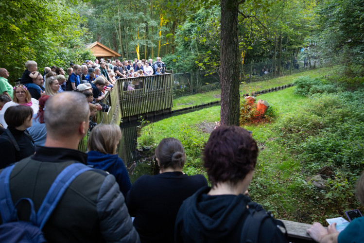 Besucherrekord im Otter-Zentrum: Tolle Bildergalerie zu den Nights of Nature in Hankensbüttel