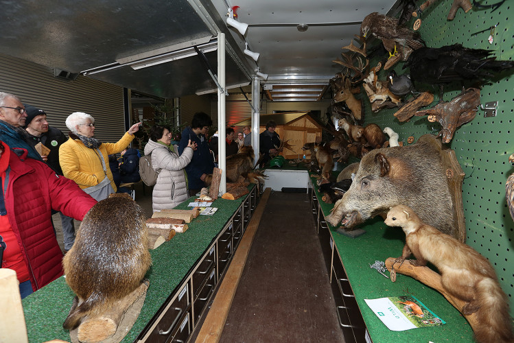 Bunte Bildergalerie zum Adventsmarkt: Lebenshilfe Gifhorn feiert Tag der offenen Tür mit Werkstatt-Tour, Deko und vielem mehr