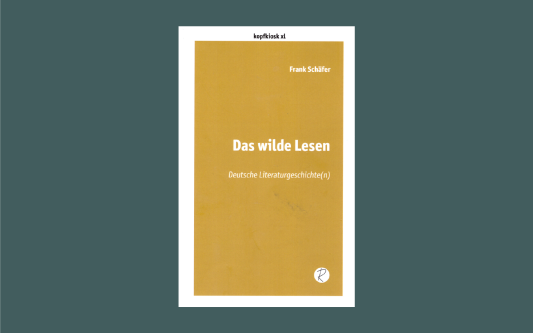 Das reicht nicht (an Literatur) - Frank Schäfers Gegenkanon für vergessene Literaturhelden