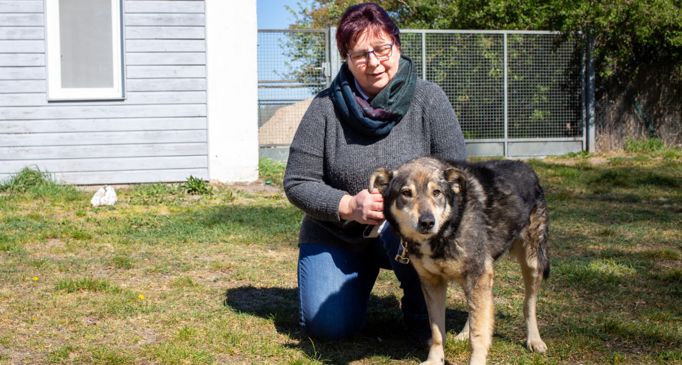 Das Tierschutzzentrum Ribbesbüttel bleibt vorerst geschlossen, aber die Tiervermittlungen laufen weiter