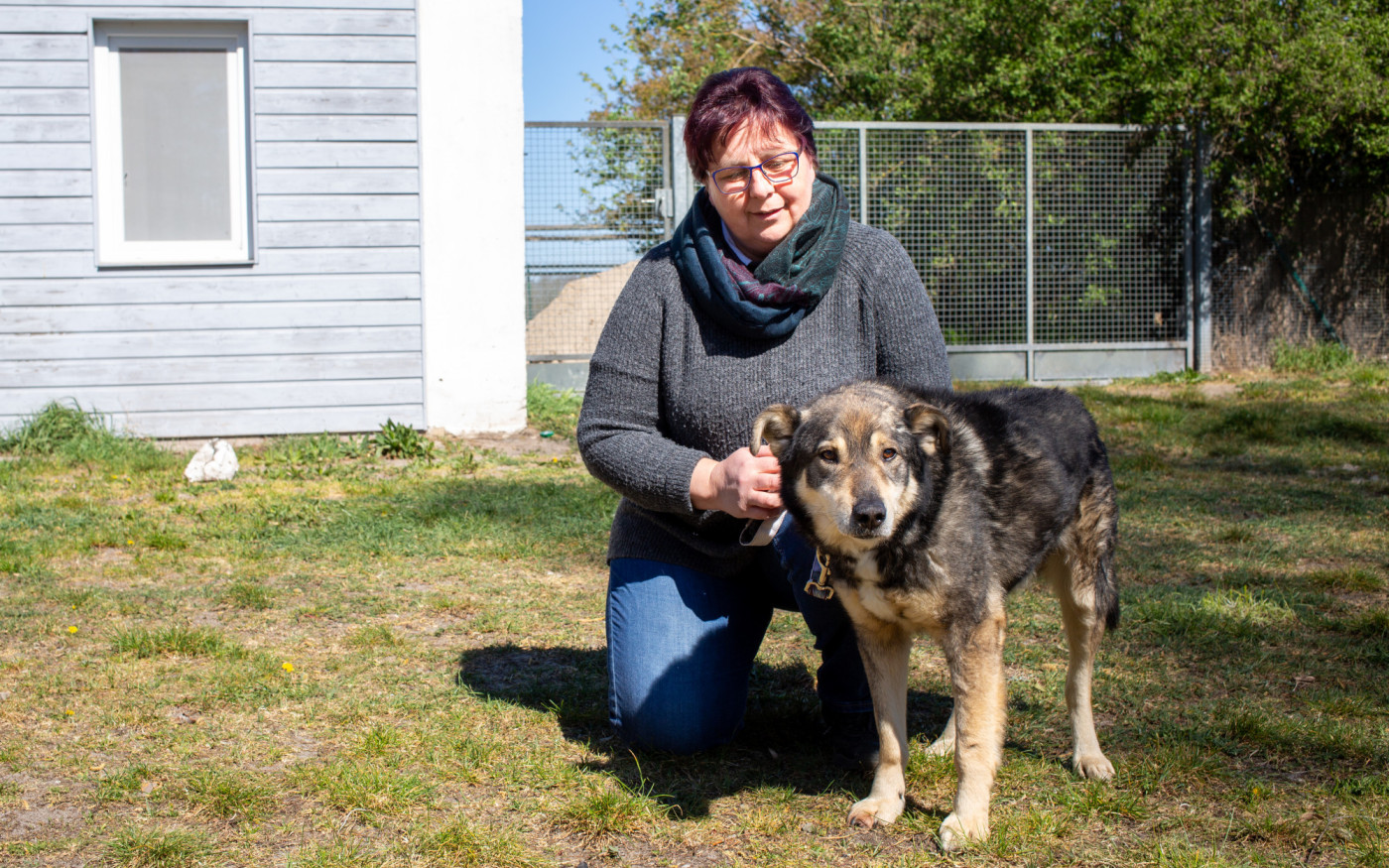 Das Tierschutzzentrum Ribbesbüttel bleibt vorerst geschlossen, aber die Tiervermittlungen laufen weiter