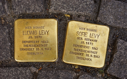 Der Stadtrat hat entschieden - Auch in Gifhorn sollen künftig Stolpersteine an NS-Opfer erinnern