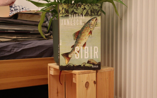 Die Heimat ist am Ende die Familie und die Freundschaft: Der neue autobiografische Roman von Sabrina Janesch, gebürtige Gifhornerin und preisgekrönte Autorin, erzählt zwei Kindheiten