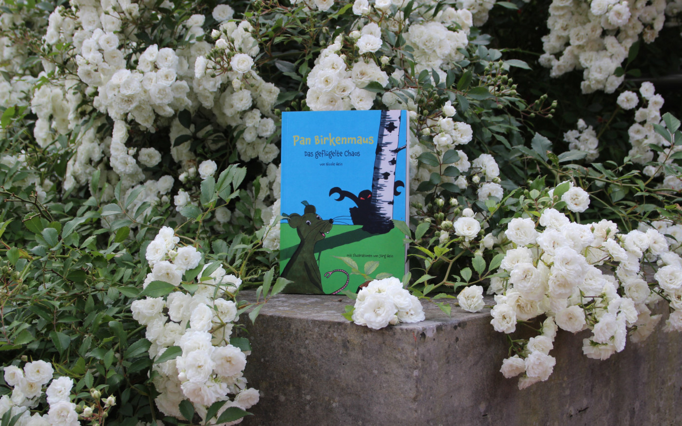 Die Umweltschutz-Maus in Gifhorn: Nicole Heins neues Kinderbuch erzählt von Freundschaft und Mut in den Wäldern unserer Stadt