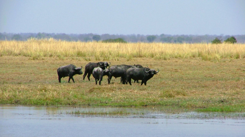 Diese Gifhorner träumen immer noch von Namibia - Elefanten, Reifenpannen und königliche Hotels im Süden Afrikas