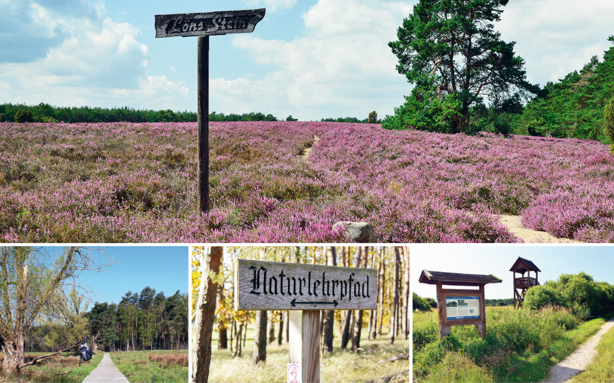 Dieser Geheimtipp möchte erkundet werden: Die Wanderbroschüre der Südheide Gifhorn lockt mit 13 kurzweiligen Routen