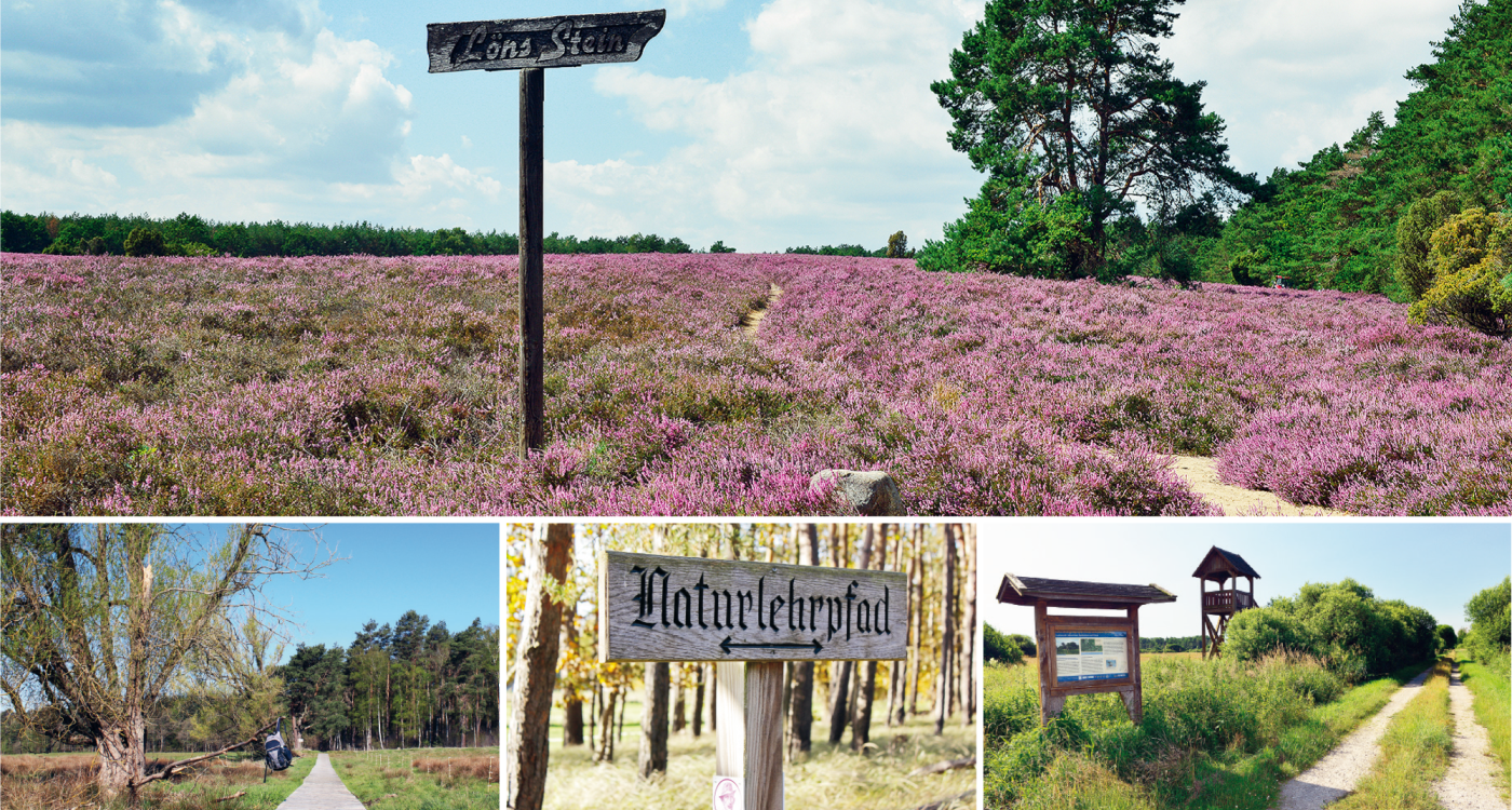 Dieser Geheimtipp möchte erkundet werden: Die Wanderbroschüre der Südheide Gifhorn lockt mit 13 kurzweiligen Routen