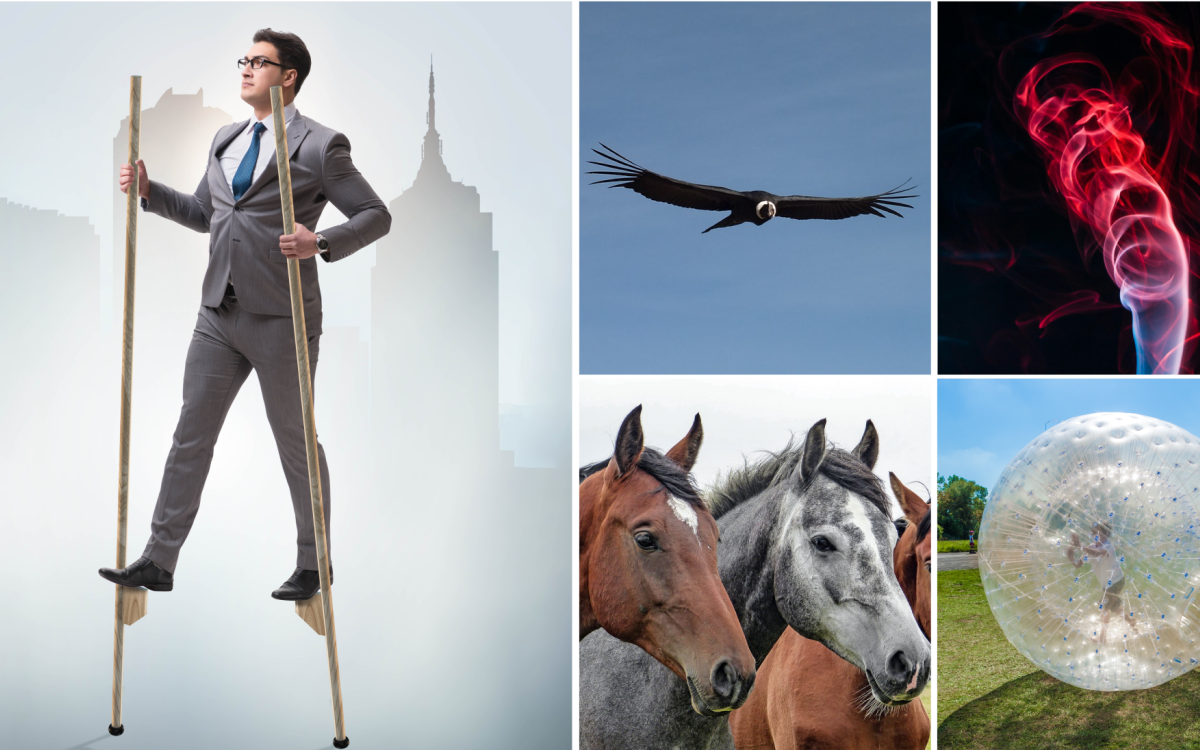 E-Horse, leg einen Zahn zu: 7 Fahrzeuge, die uns in Zukunft von A nach B bringen