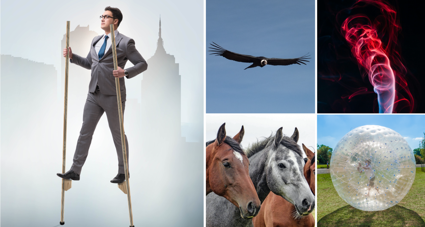 E-Horse, leg einen Zahn zu: 7 Fahrzeuge, die uns in Zukunft von A nach B bringen