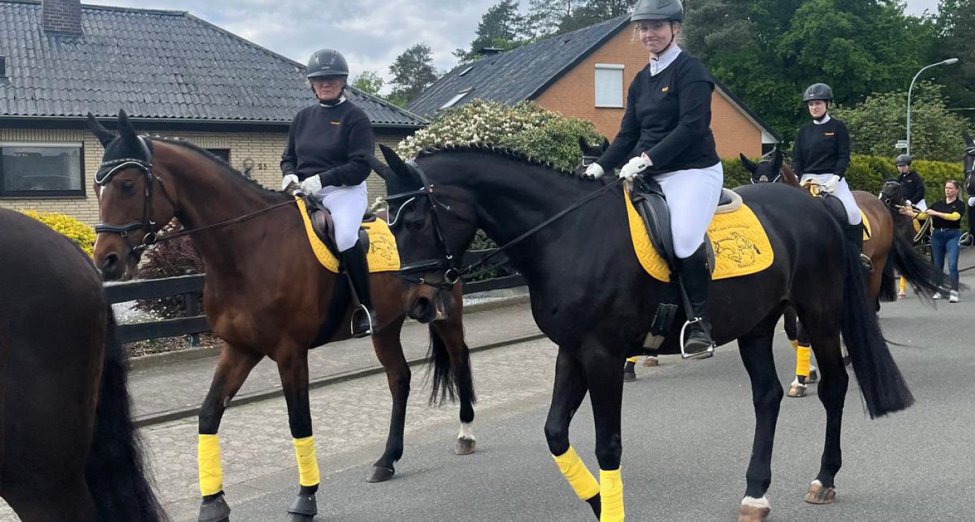 Ein anspruchsvoller Sport, der den Charakter bildet: Die Pferdesportgemeinschaft am Masthoop in Kästorf bildet gutes Reiten aus