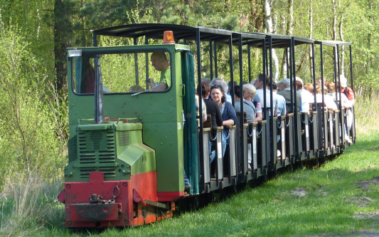 Eine schützenswerte Welt, die uns so viel staunen lässt: Der Verein Natur- und Kulturerlebnispfad Großes Moor Gifhorn startet in seine Moorbahn-Saison