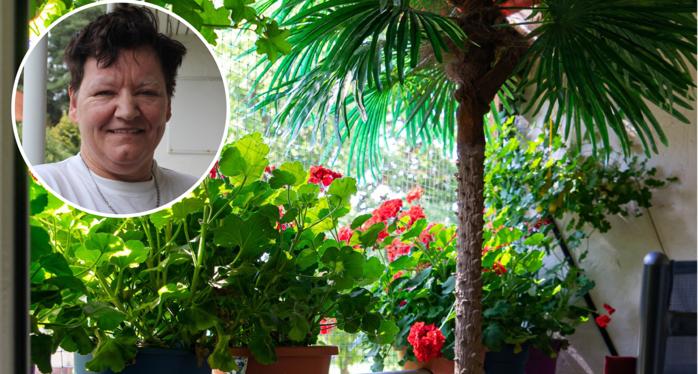 Eine Zwei-Meter-Palme und stehende Geranien - Stefanie Buse hütet ihre Balkon-Schätze wie eine Ente ihre Küken