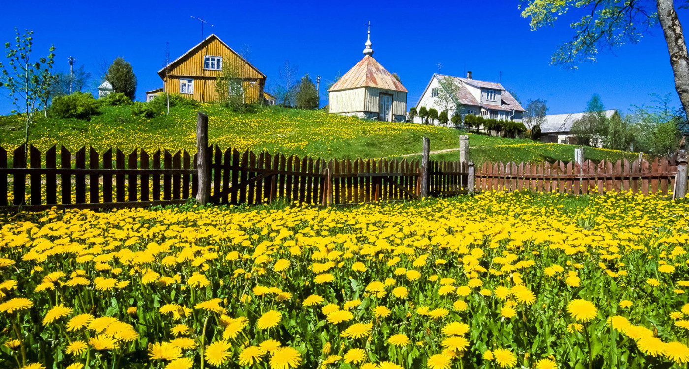 Einzigartiges Baltikum: Aneta und Dirk Bleyer verzaubern in der Stadthalle Gifhorn ihr Publikum mit einer Multivisionsshow