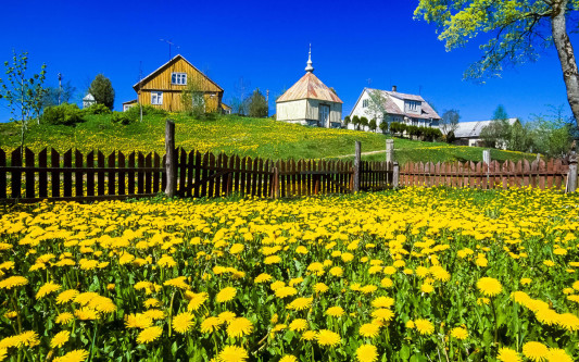 Einzigartiges Baltikum: Aneta und Dirk Bleyer verzaubern in der Stadthalle Gifhorn ihr Publikum mit einer Multivisionsshow