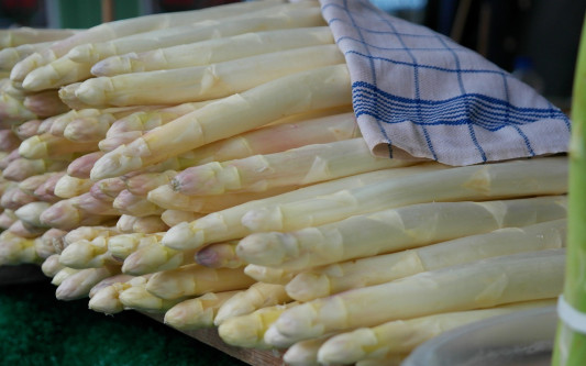 Endlich Frühling: Die Lebenshilfe Gifhorn eröffnet morgen die Spargelsaison und lädt zum Tag der offenen Tür in den Hüttenweg 4