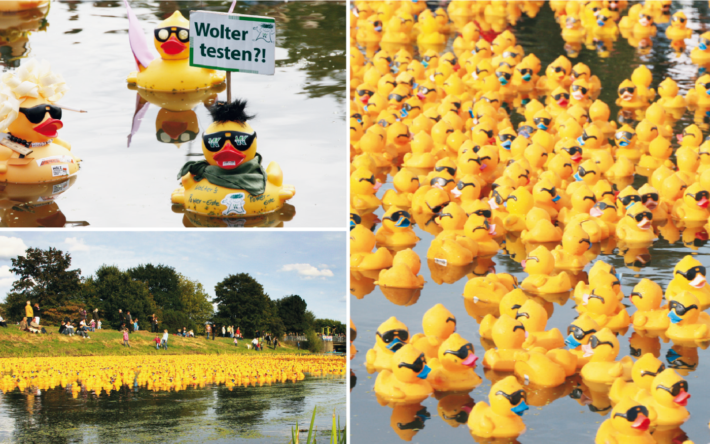 Endlich ist es so weit: Die Gummi-Enten flitzen – Viele Preise gibt‘s beim Entenrennen während des Gifhorner Altstadtfestes zu gewinnen