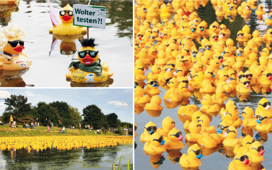 Endlich ist es so weit: Die Gummi-Enten flitzen – Viele Preise gibt‘s beim Entenrennen während des Gifhorner Altstadtfestes zu gewinnen