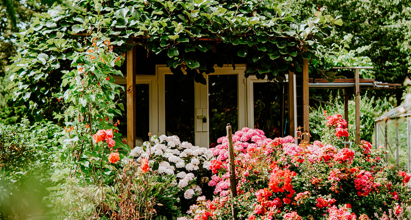 Erkundungstour zwischen Rosen und Rhododendren: Bis Ende September öffnen zahlreiche Gartenbesitzer in der Region ihre Pforten