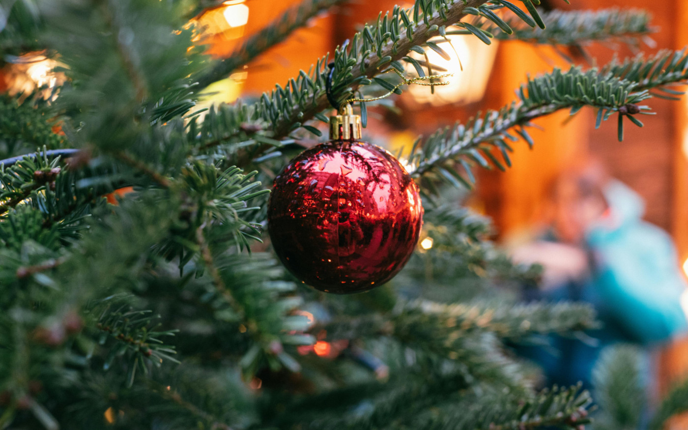 Erst Baum anknipsen, dann sich selbst: Heute wird auf der Burg Brome das Anleuchten groß gefeiert