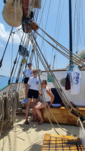 Fliegende Fische zum Greifen nahe: Zehn Kinder und Jugendliche aus Gifhorn reisen acht Tage lang mit einem Segelschiff entlang der Ostküste Sardiniens