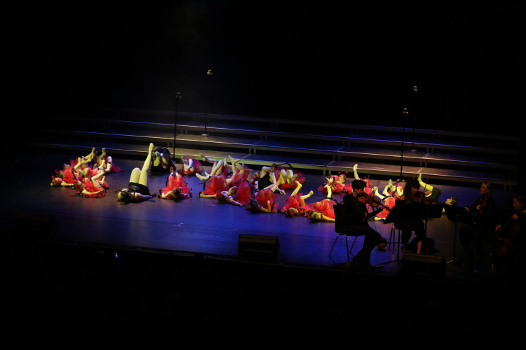 Für das Licht in der Nacht: Gifhorner Musical bringt Emmie Wegner aus Wahrenholz und Matilda Camehl aus Dannenbüttel in die Hauptrolle – Jetzt mit großer KURT-Bildergalerie