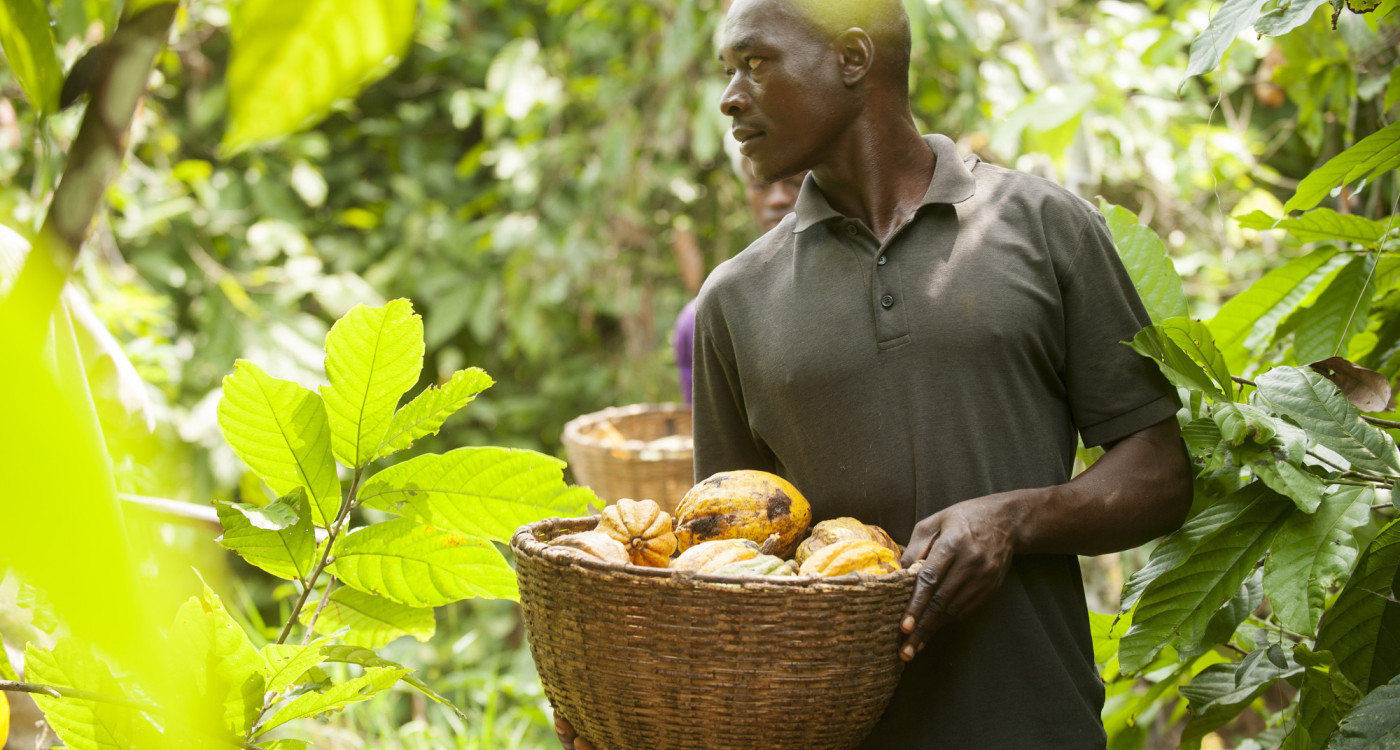 Für die Idee begeistern, die Welt zu bewegen: Ab 9. September finden in Gifhorn und Umgebung die Fairen Wochen statt