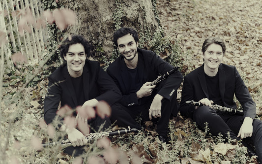 Für sie gibt es keine Genregrenzen: ClariNoir geht mit Mozart auf Weltreise - und tritt im Rittersaal des Schloss Gifhorn auf