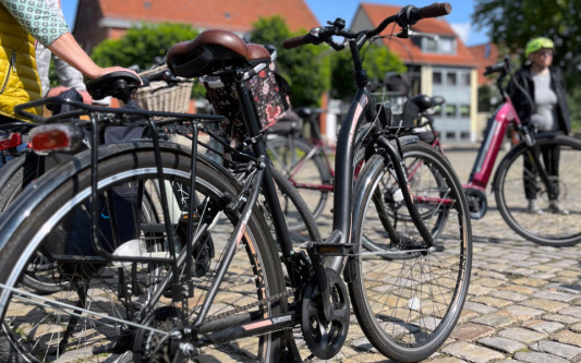 Genussvolle Radtouren durch die Region: Anfang Oktober verbindet die Initiative „Südheide genießen“ Radfahren und Kostproben